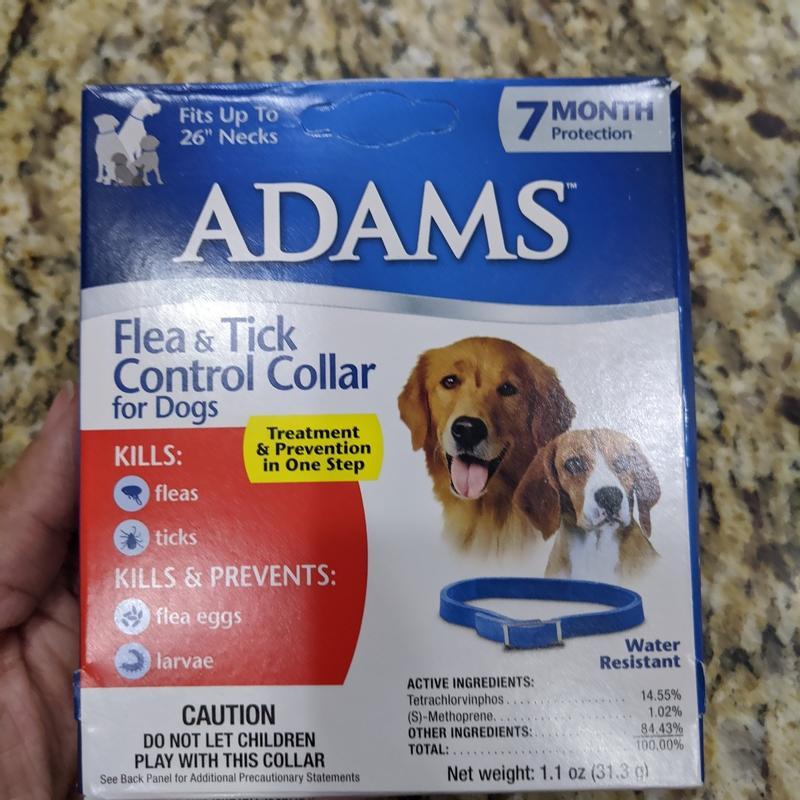 are adams flea collars safe for dogs