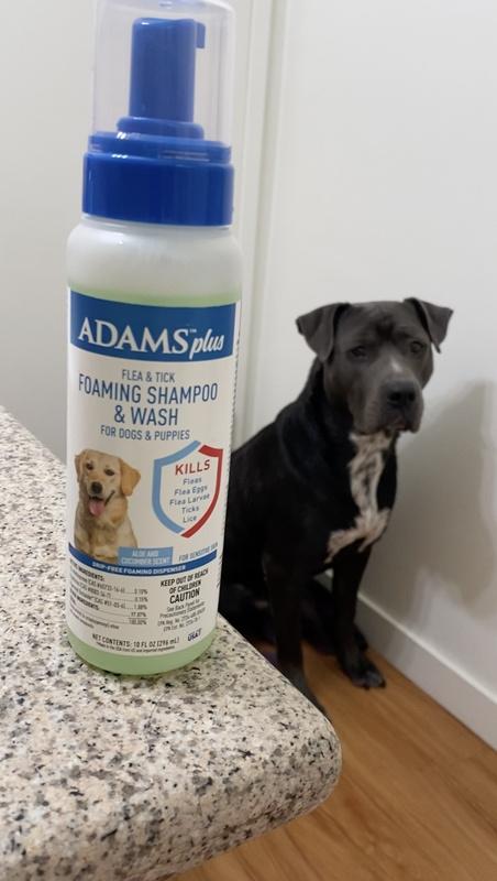 Adams flea shampoo outlet reviews