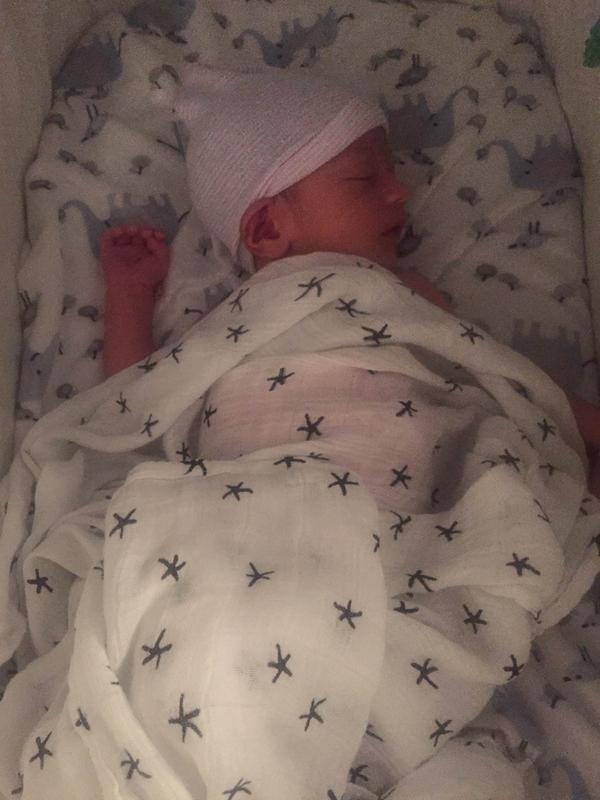 Aden + Anais & 3Pack Silky Soft Indigo Swaddle Blanket in White