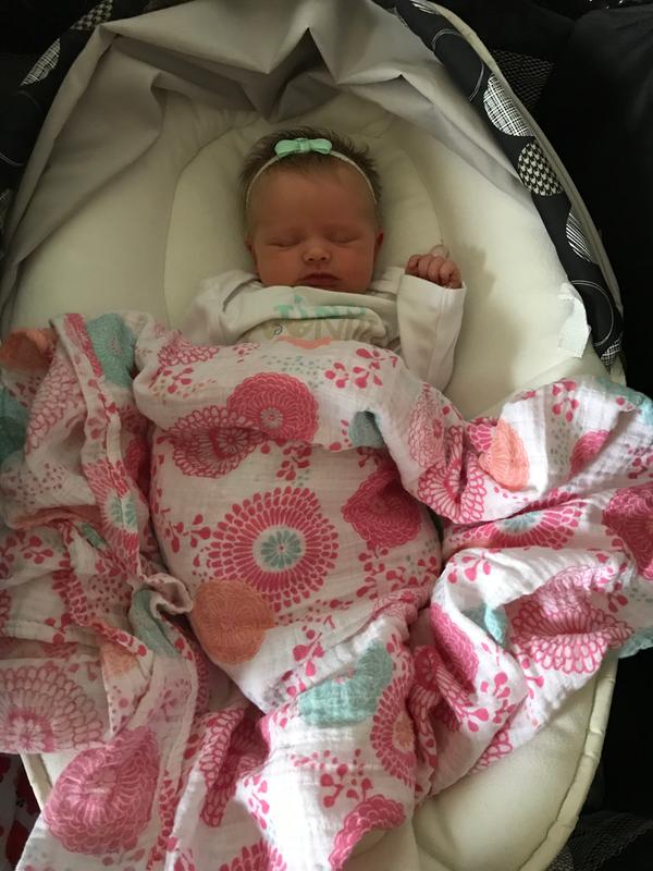 aden + anais® Tea Collection Global Garden 4Pack Muslin Swaddle