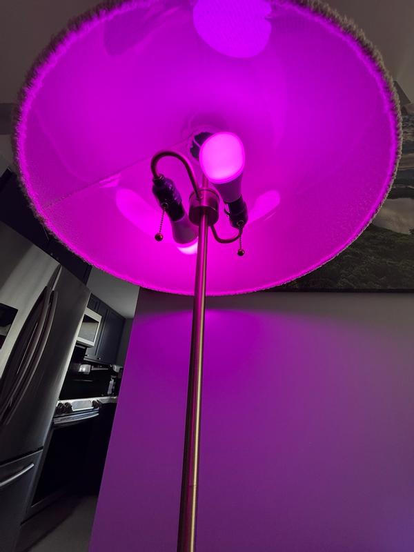 Review Thumbnail Image 3 353495624