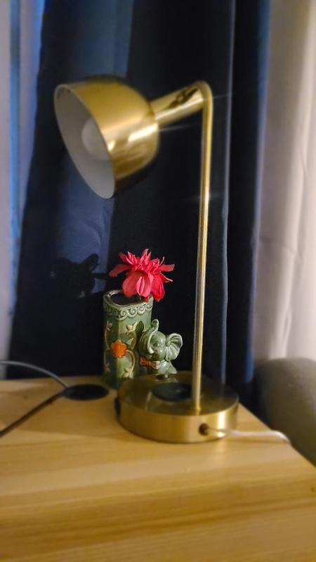 Review Thumbnail Image 0 370134954