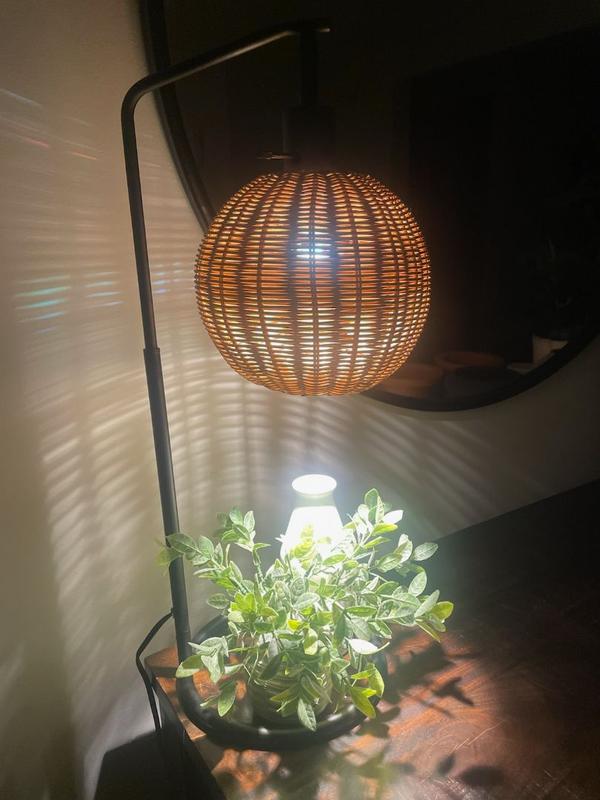 Review Thumbnail Image 0 353840913