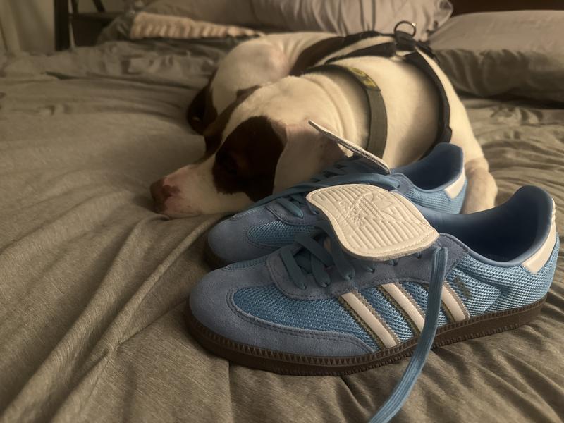 Customer photo for "I love this Shade of Blue"