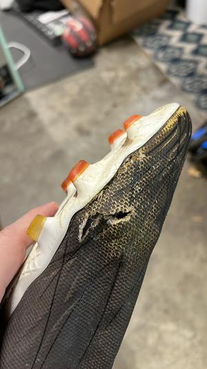 Photo submitted with review of product