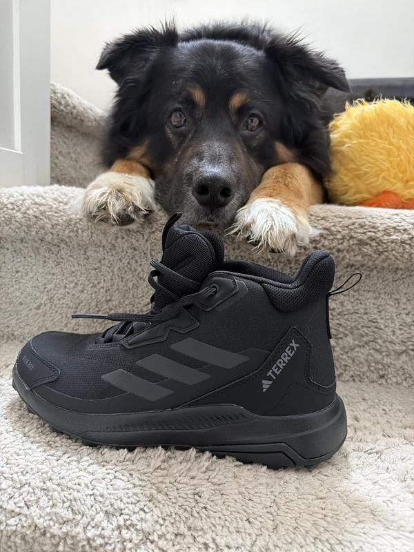 adidas Men's Terrex Anylander Mid Rain.RDY Hiking Shoe | Famous