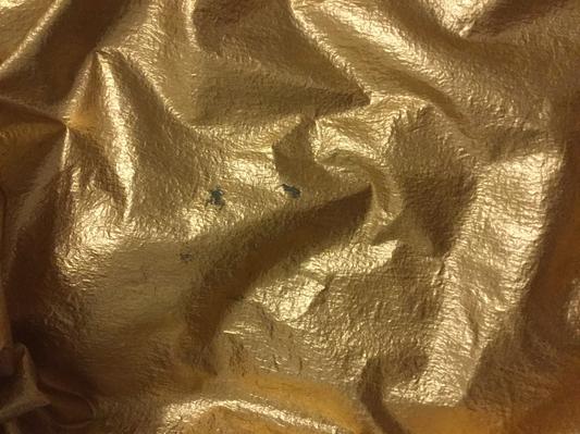 Review Thumbnail Image 0 97816281