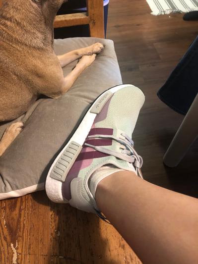 adidas gazelle silver green womens Shop White Womens adidas NMD R1 Lace Up Sneakers – Shoebacca