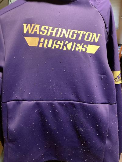 Photo from DissappointedDawg1991