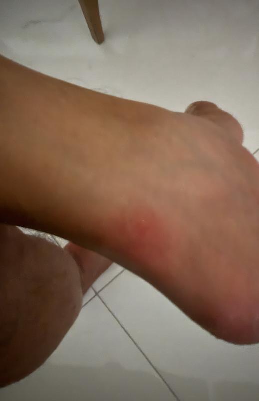 Photo submitted with review of product