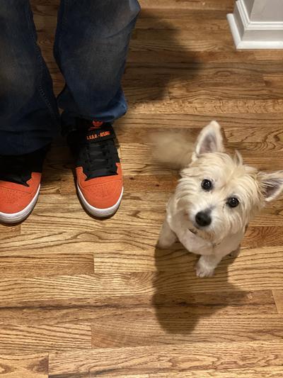 Photo submitted with review of product