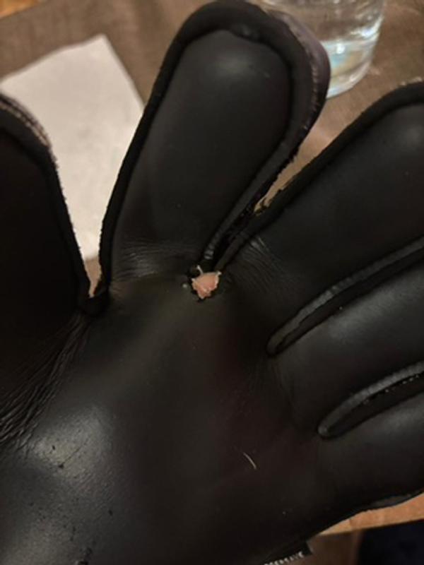 Photo submitted with review of product