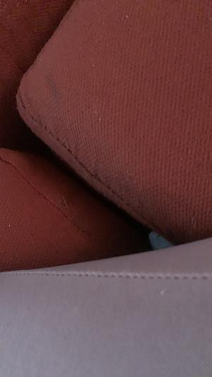 Photo submitted with review of product