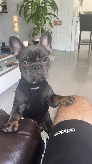 Photo submitted with review of product