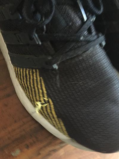 Photo submitted with review of product