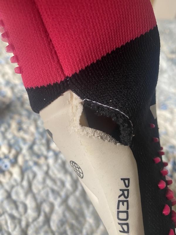 Photo submitted with review of product