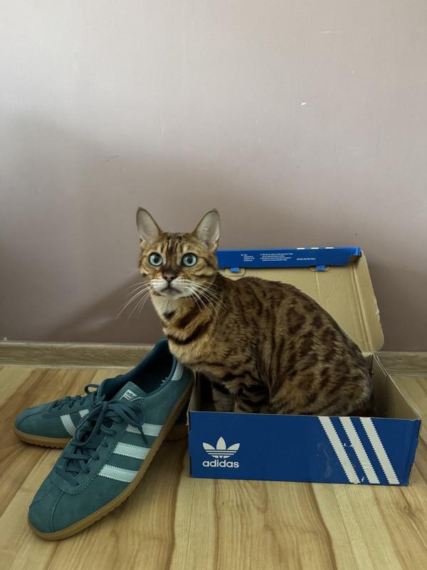 Customer photo for "Beautiful and comfortable sneakers"