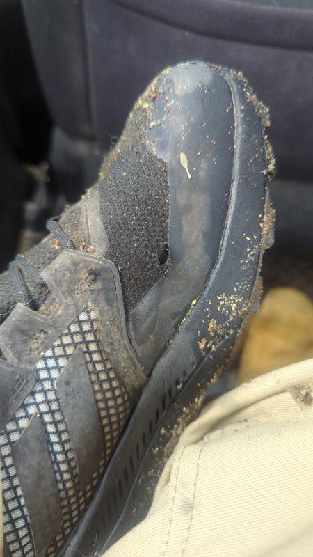 Review Thumbnail Image 0 162936432