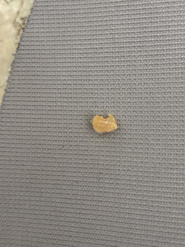 Photo submitted with review of product