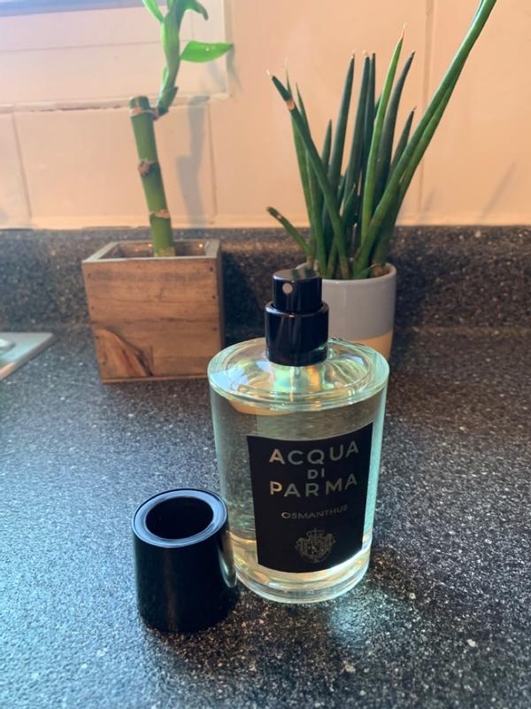 【kz】ACQUA DI PARMA OSMANTHUS 20ml Acqua di Parma Osmanthus Eau de Parfum | Bloomingdale's