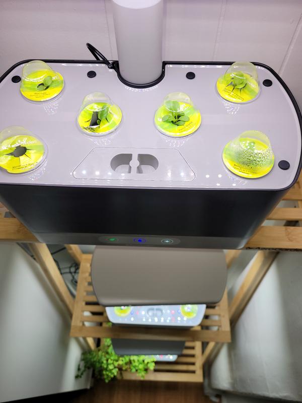 Absolutely intrigued by the variety.