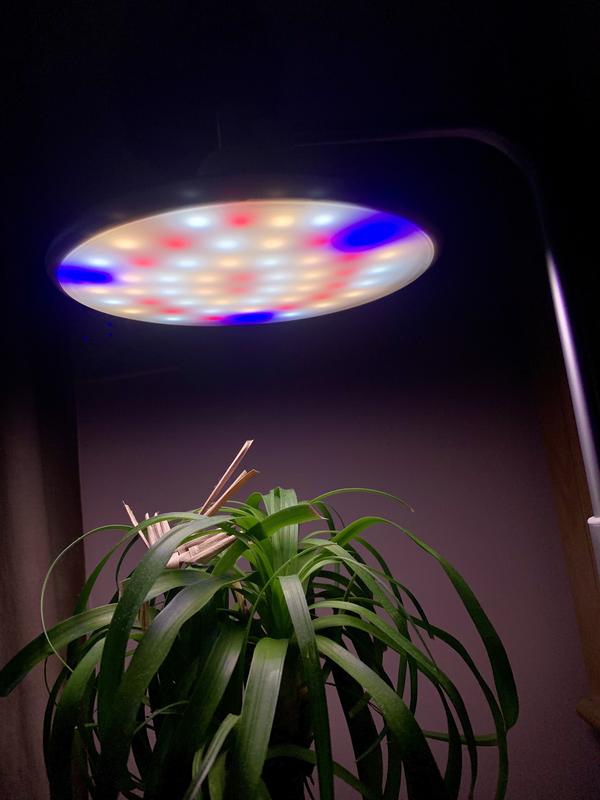 Aerogarden Tabletop Grow Light