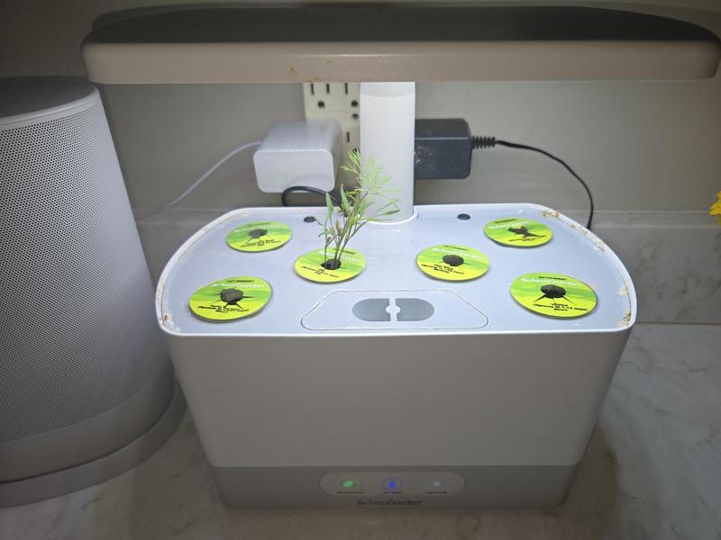 aerogarden pods after 3 weeks