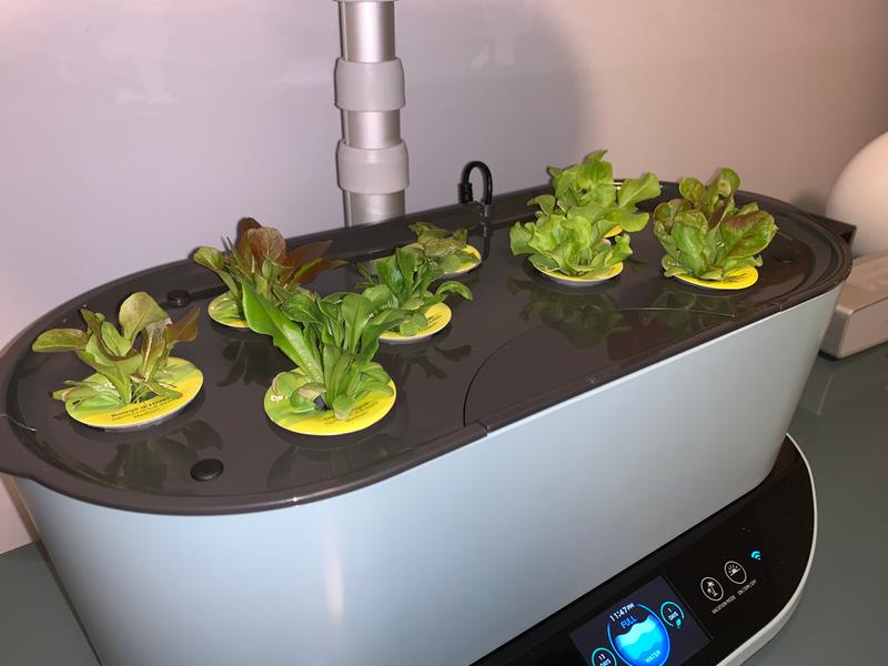 Bounty Smart Indoor Garden w/ LED Grow Light - AeroGarden