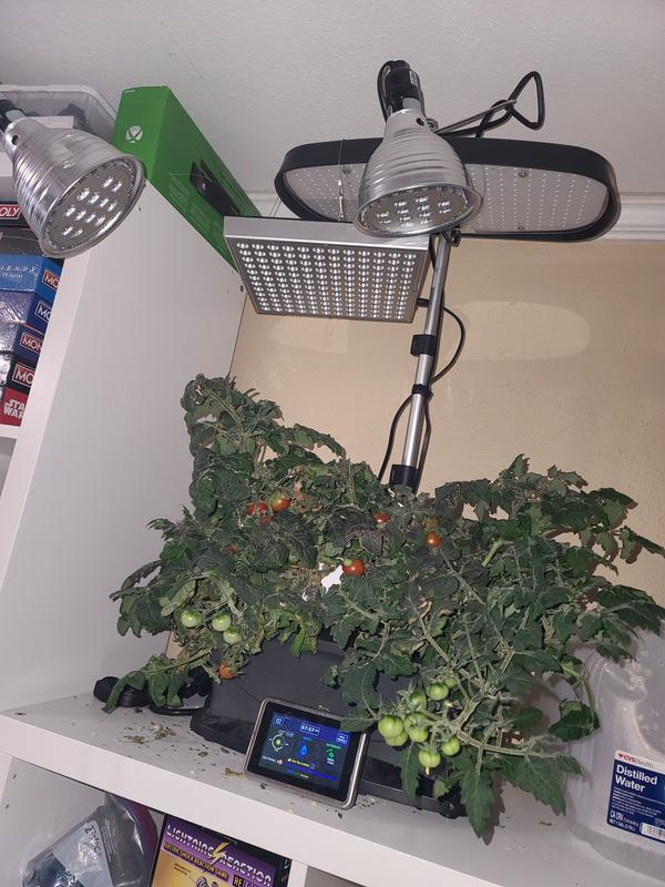 Aerogarden 20 Watt Led Grow Light