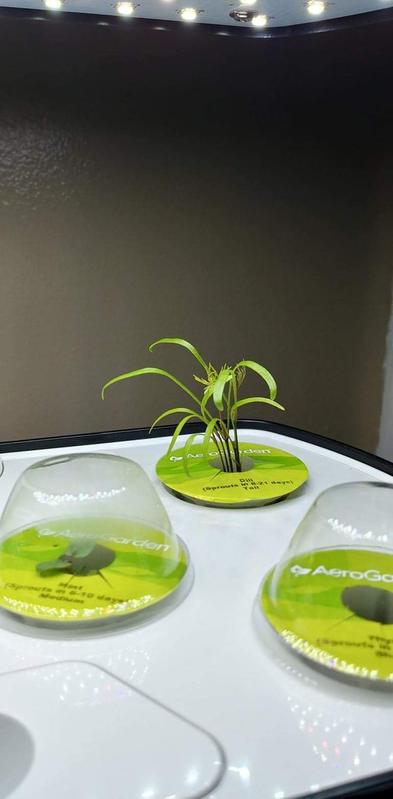 Taken on September 18, 2020