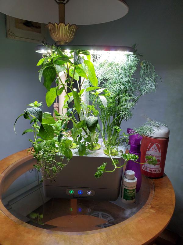 current plants May 28 2020