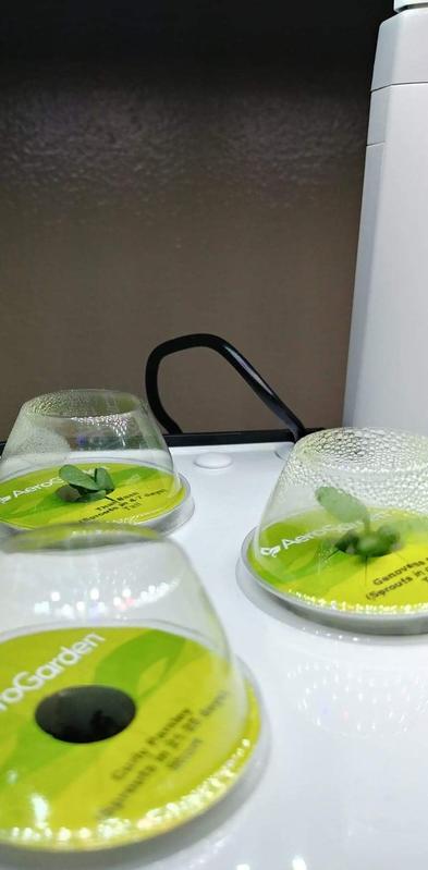 Taken on September 18, 2020