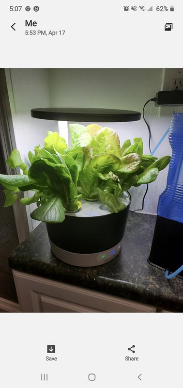 AeroGarden No-Spill Watering Jug