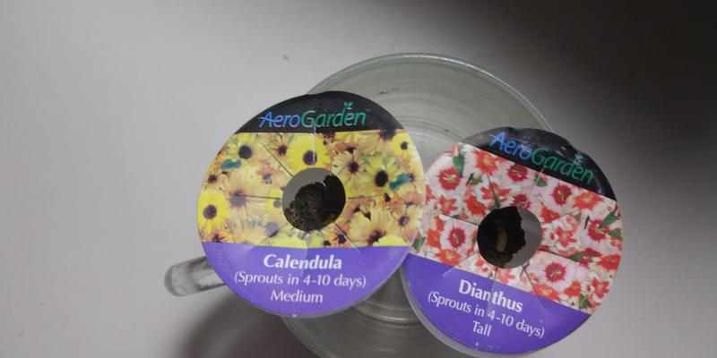 Failure to launch...