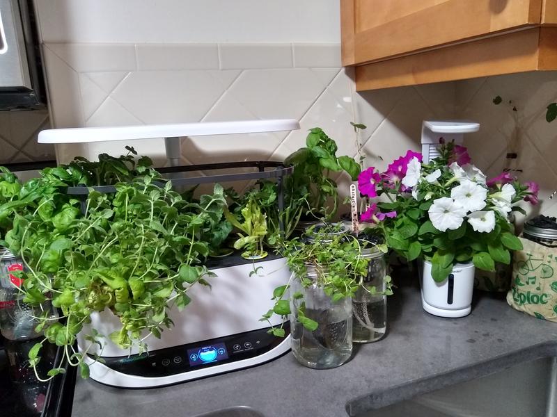 Miracle-Gro AeroGarden 3-Pod Indoor Sprout LED Plus with Herb Seed Kit AERO606 for sale online 