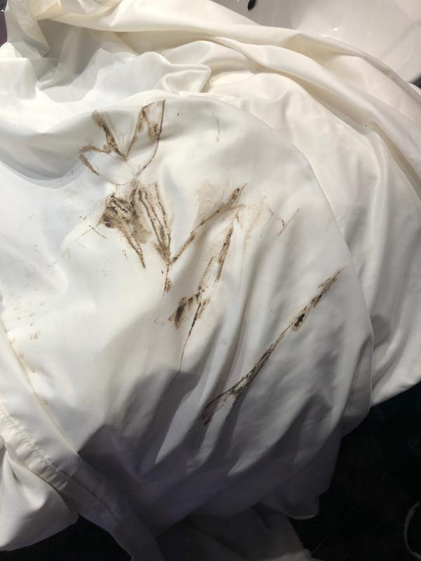 Customer photo 1 of 2. Click to open full size image.