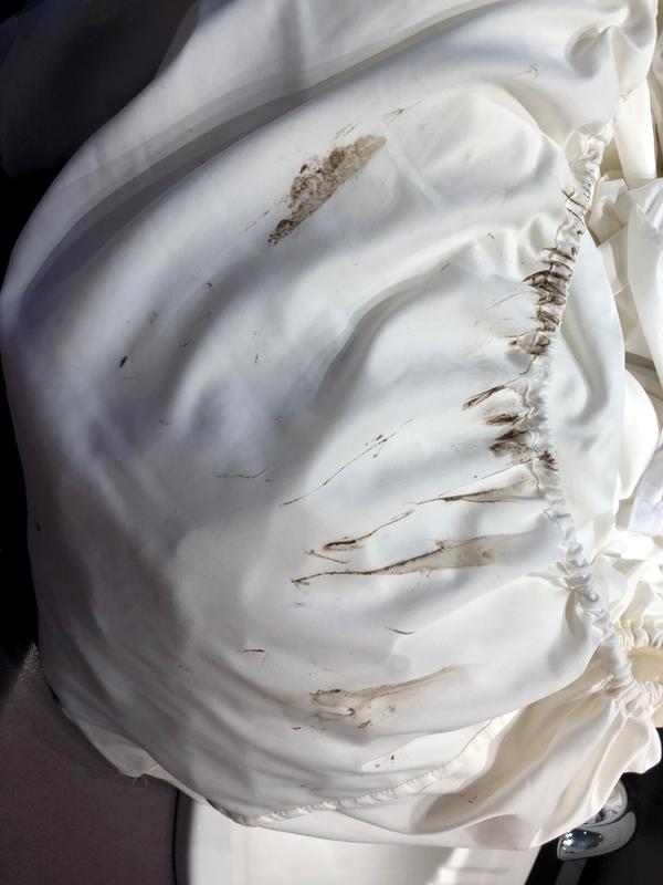 Customer photo 2 of 2. Click to open full size image.