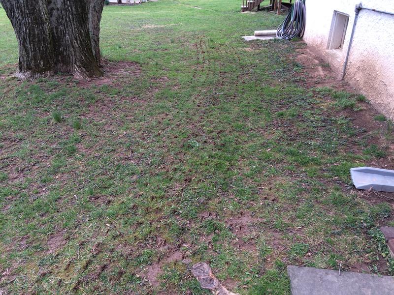 I was pleased with the results!