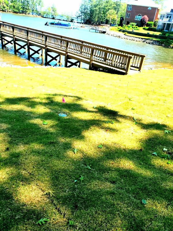 Review photo 4.