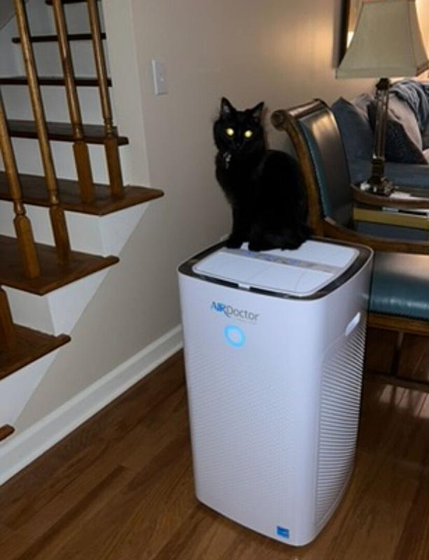 AirDoctor AD5000 / AD5500 Ionic white HEPA Air Purifier (Covers