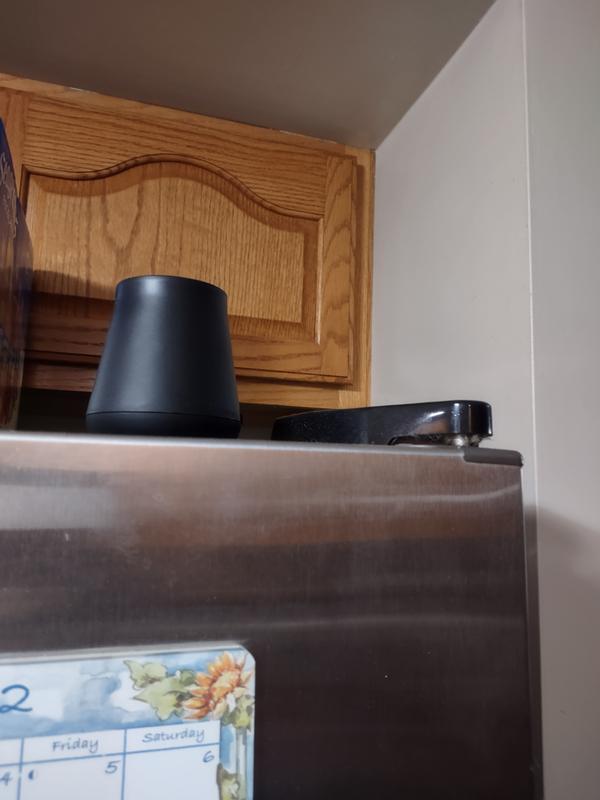 Deceased air freshener