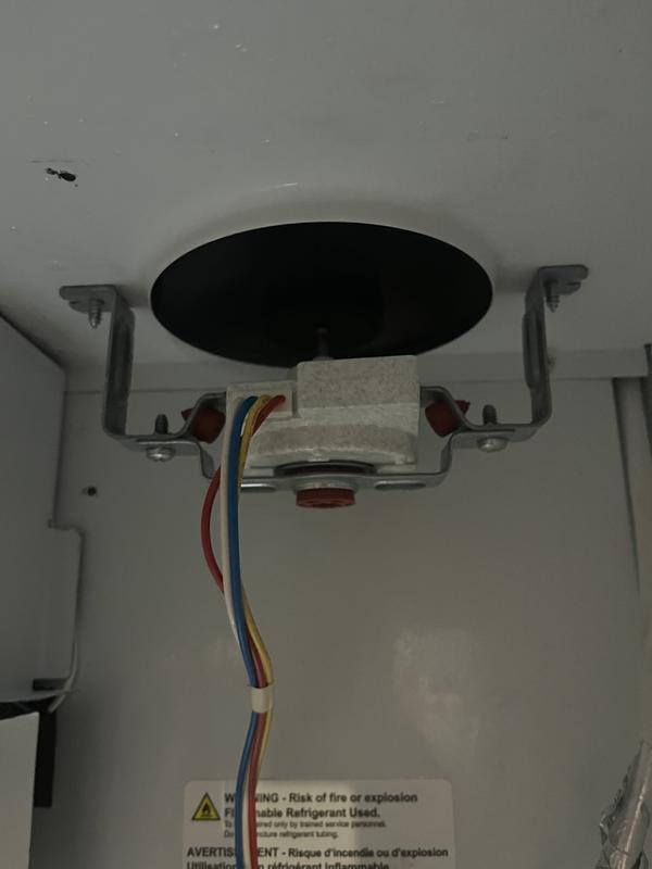 Customer photo 4