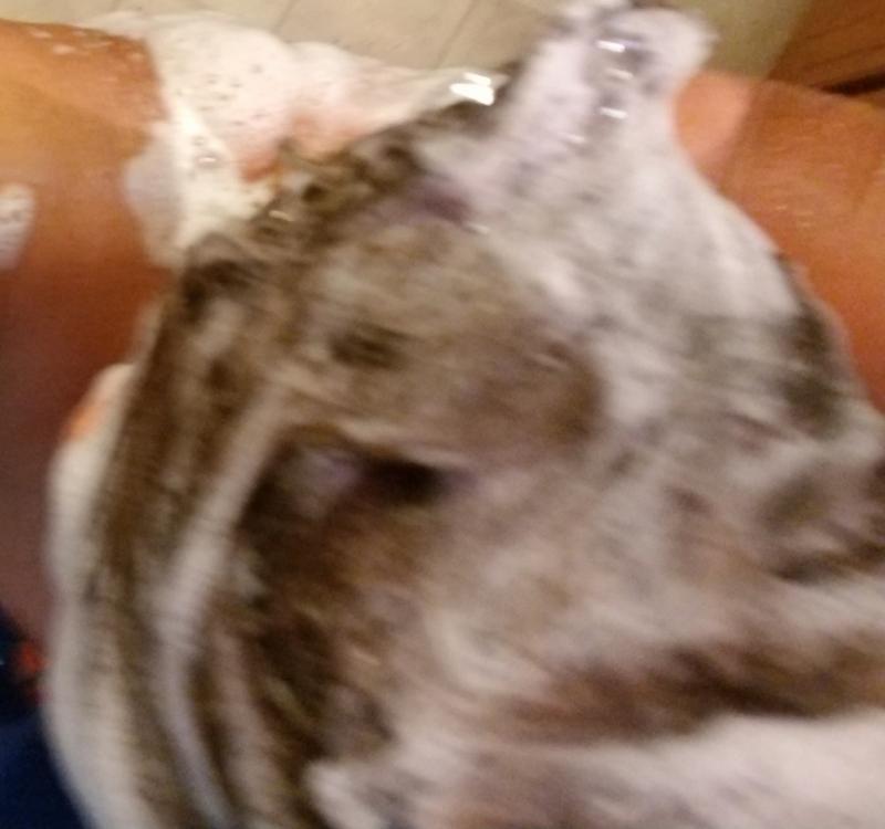 Lots of lather
