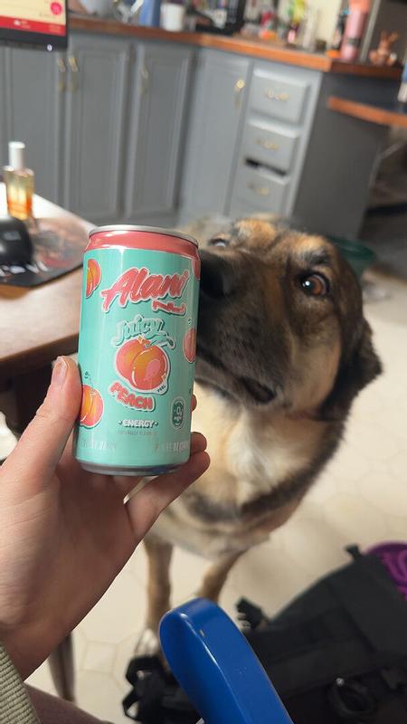 ALANI MINI JUICY PEACH 4PK 8.4OZ