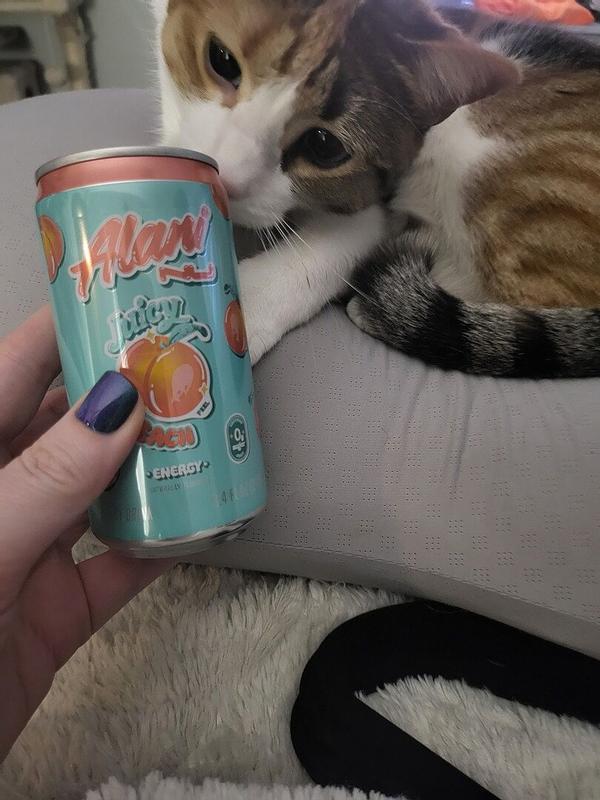 ALANI MINI JUICY PEACH 4PK 8.4OZ