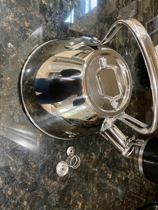 🆕All-Clad 2-Quart Stainless Steel Tea Kettle