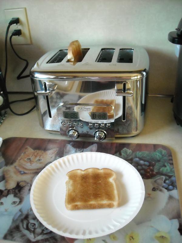 $150 Toast with the All-Clad 4 Slice Digital Toaster 