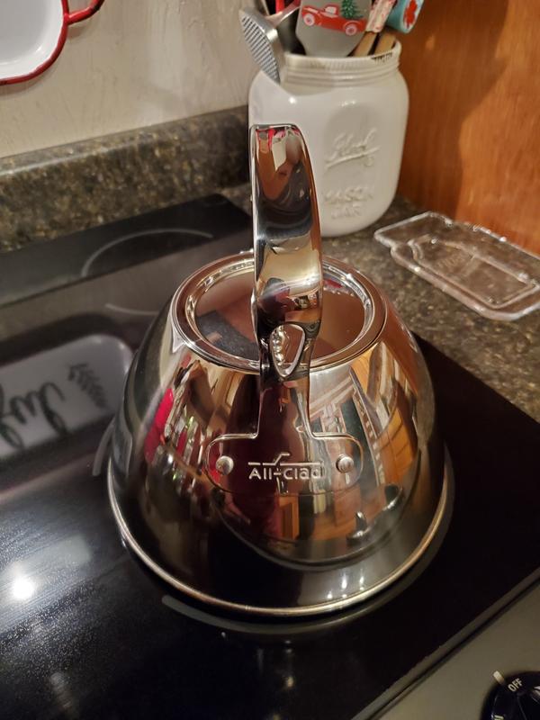 All Clad 2 Quart Stainless Steel Tea Kettle