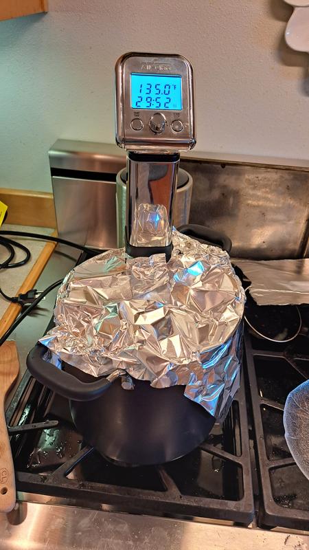 Instant Pot Immersion Circulator review