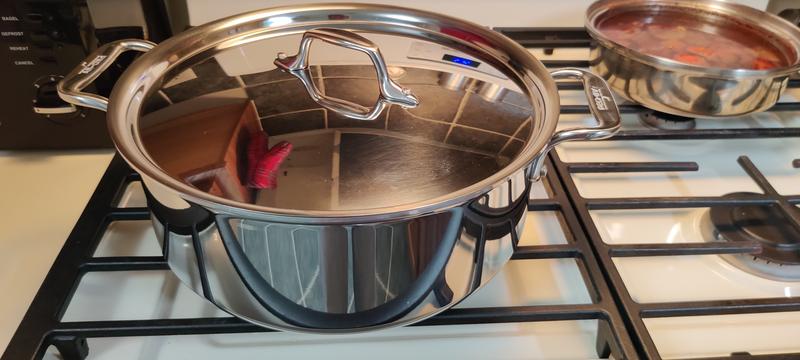 ALL-CLAD Stainless 6-Qt Stockpot 4506